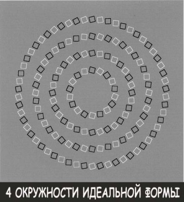 dhit37.jpg