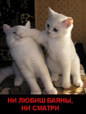 boyan.jpg