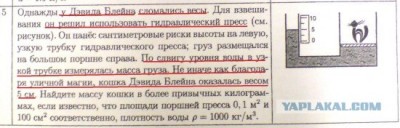 дэвид.jpg
