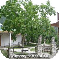 IMG_0200_resize.JPG