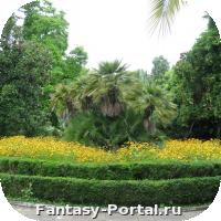 IMG_0227_resize.JPG