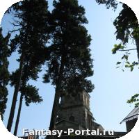 IMG_0982_resize.JPG