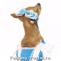 Алиса