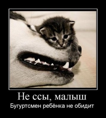 x_05a23029.jpg