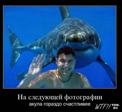 1254567812_kartinki_s_podpisjami_128_foto_33.jpg