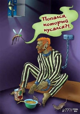 1251218089_054_zavgorodnaya.jpg