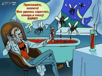 1251218146_060_zavgorodnaya.jpg