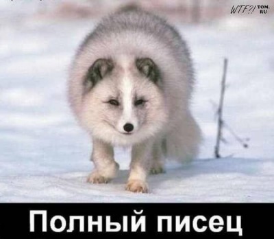 1250523421_1.jpg