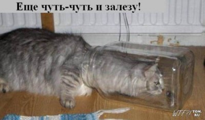 1250646686_kototalk_28.jpg
