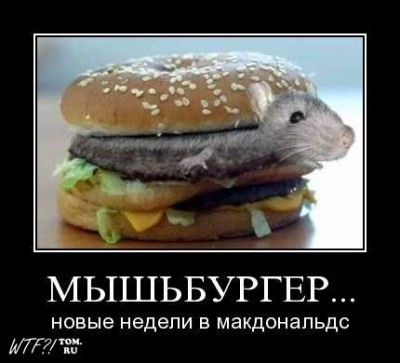 1252136784_kartinki_s_podpisjami_107_foto_40.jpg
