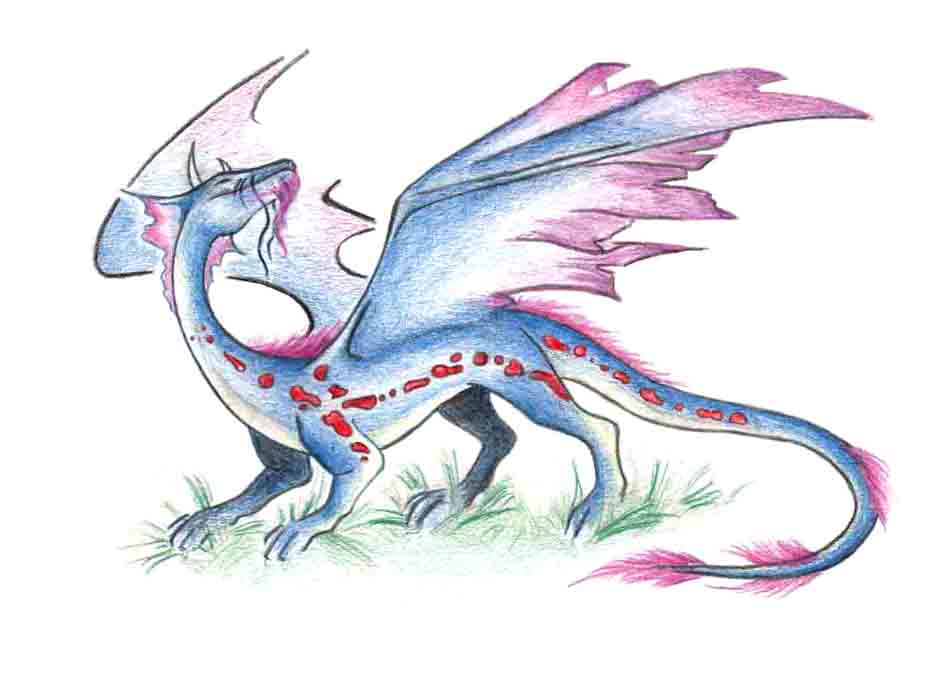 drakoshka3.jpg