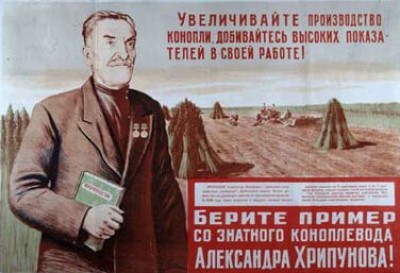 Конопля.jpg