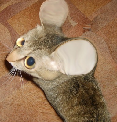 My cat Spleen (mouse-style) 1 (2007).JPG