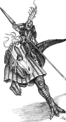 rider1.jpg