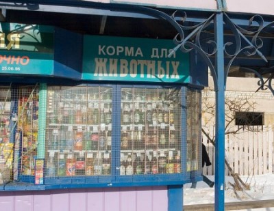 1234587346_marasm_5.jpg