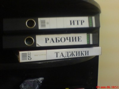 1234587358_marasm_7.jpg